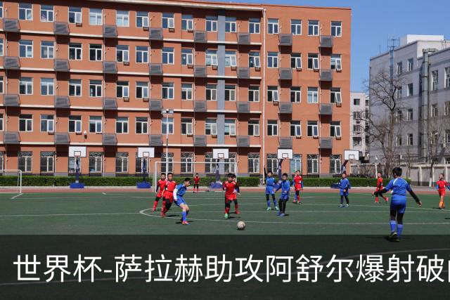 世界杯-萨拉赫助攻阿舒尔爆射破门 埃及半场1-0比利时